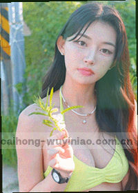 飞行蒲公英与信封色块构成的抽象漫画封面